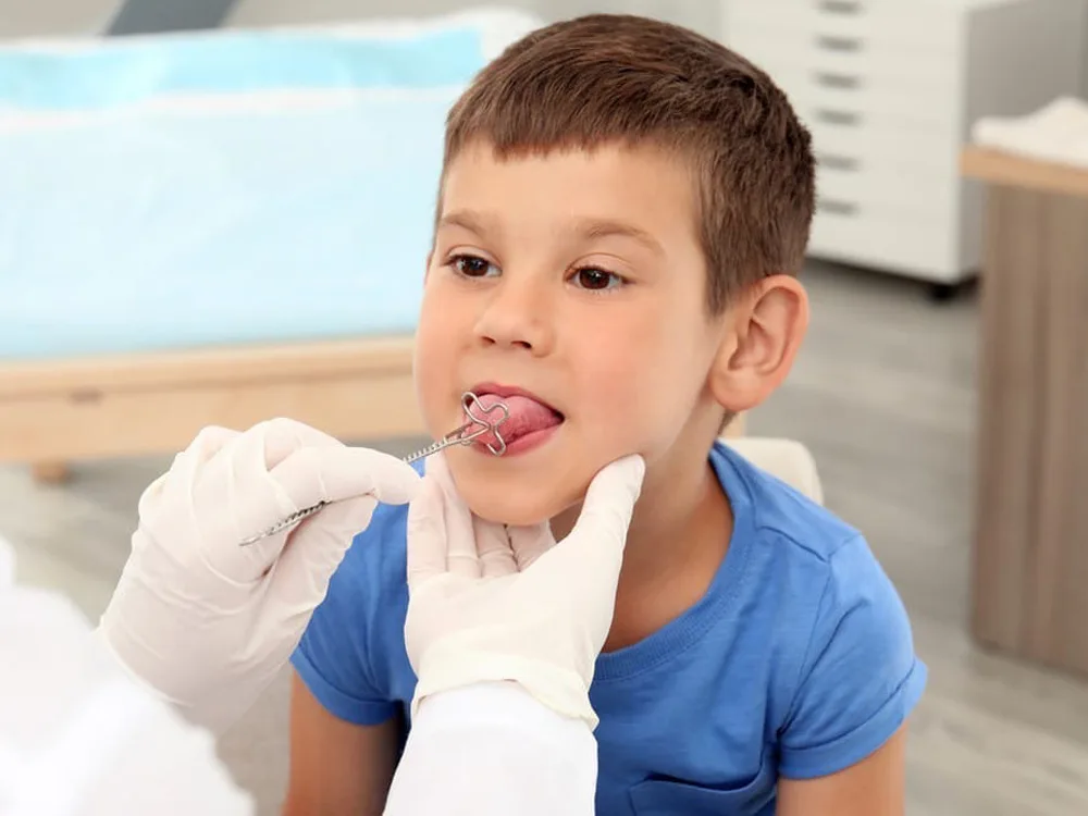 Logopedske sonde sa mogućnošću stručne obuke i sertifikata